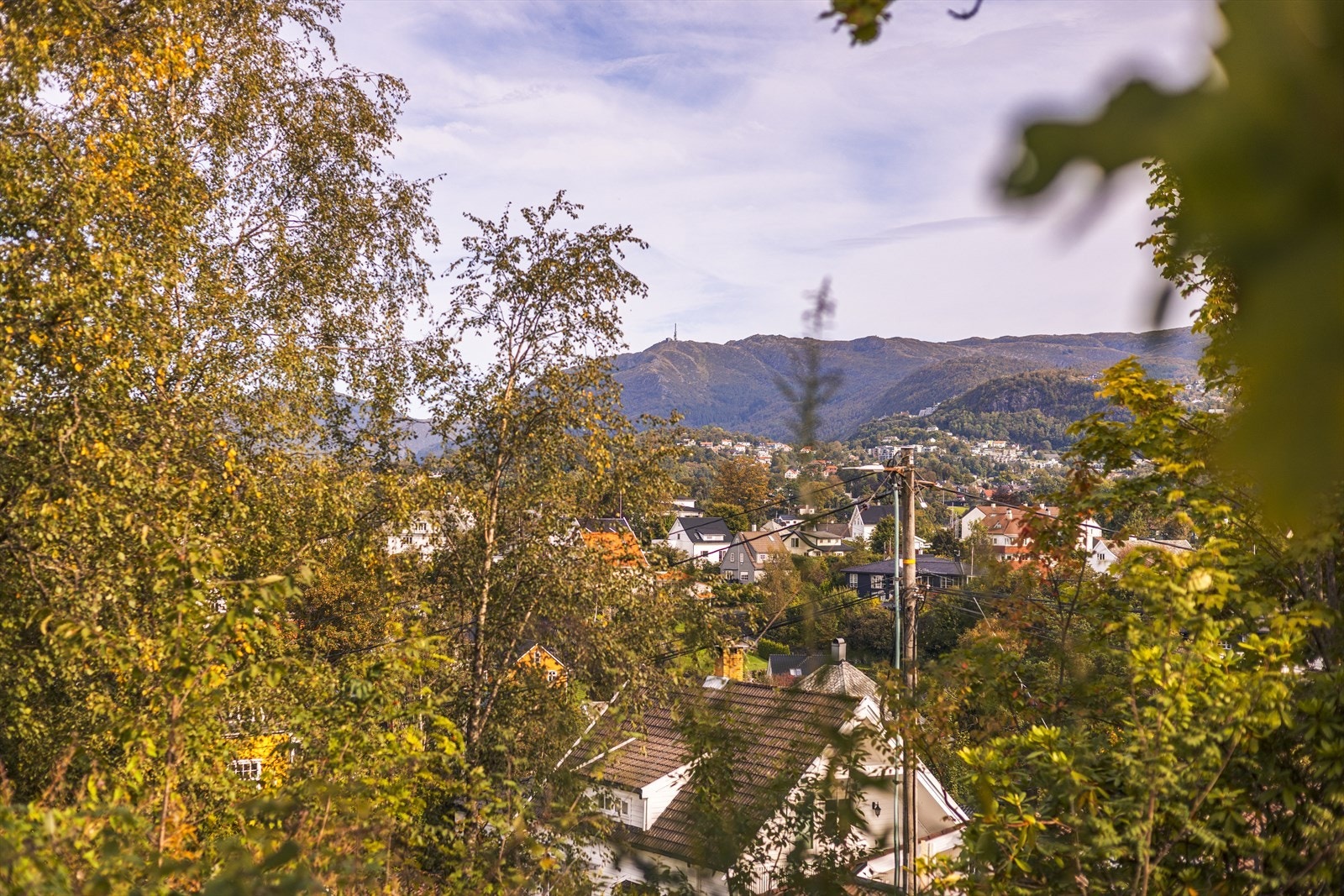Villaen ligger på en høyde med utsikt mot Bergensdalen. Men store deler av utsikten er skjult bak trærne som omkranser eiendommen. Galleribilde