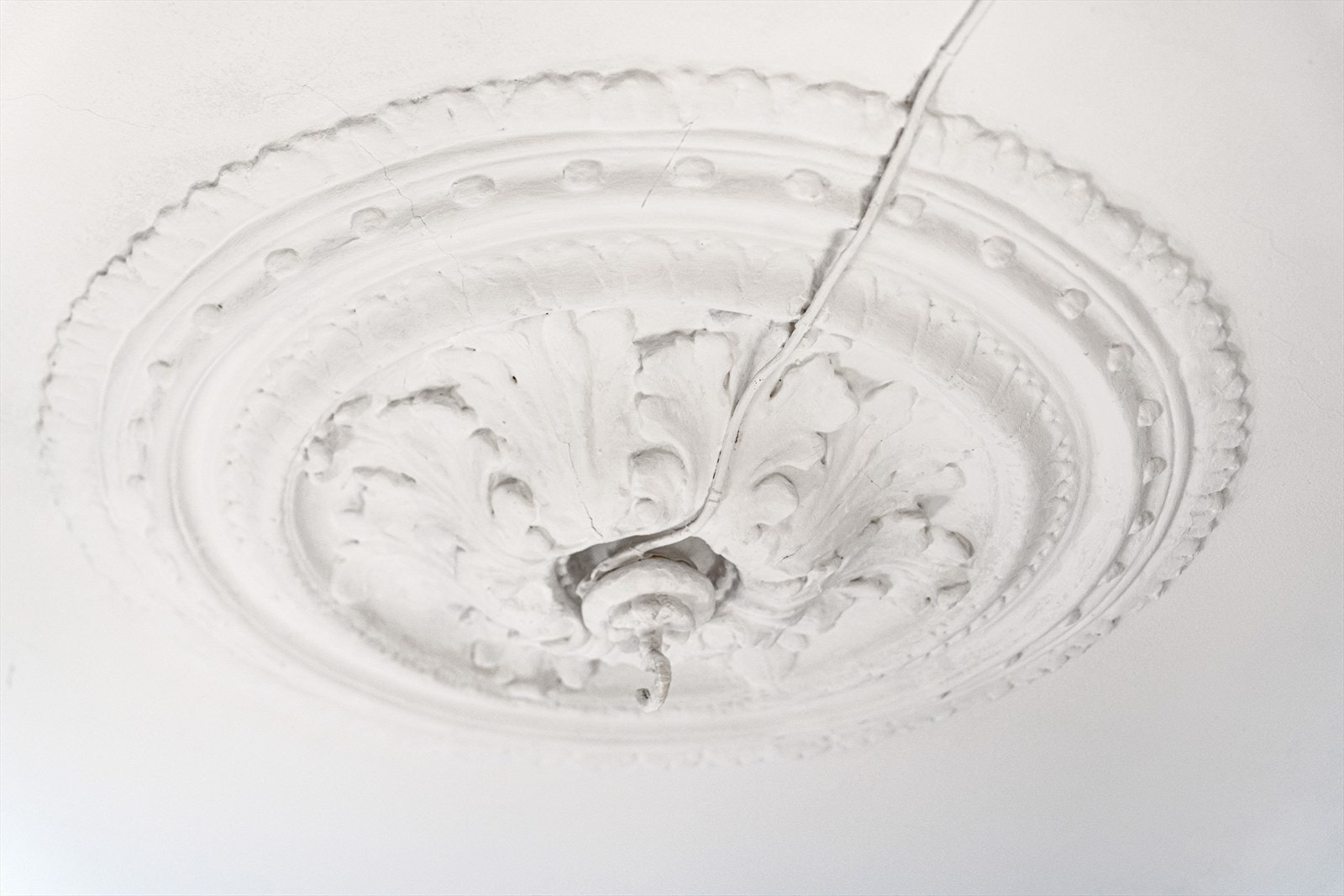 Pen rosett i tak Galleribilde