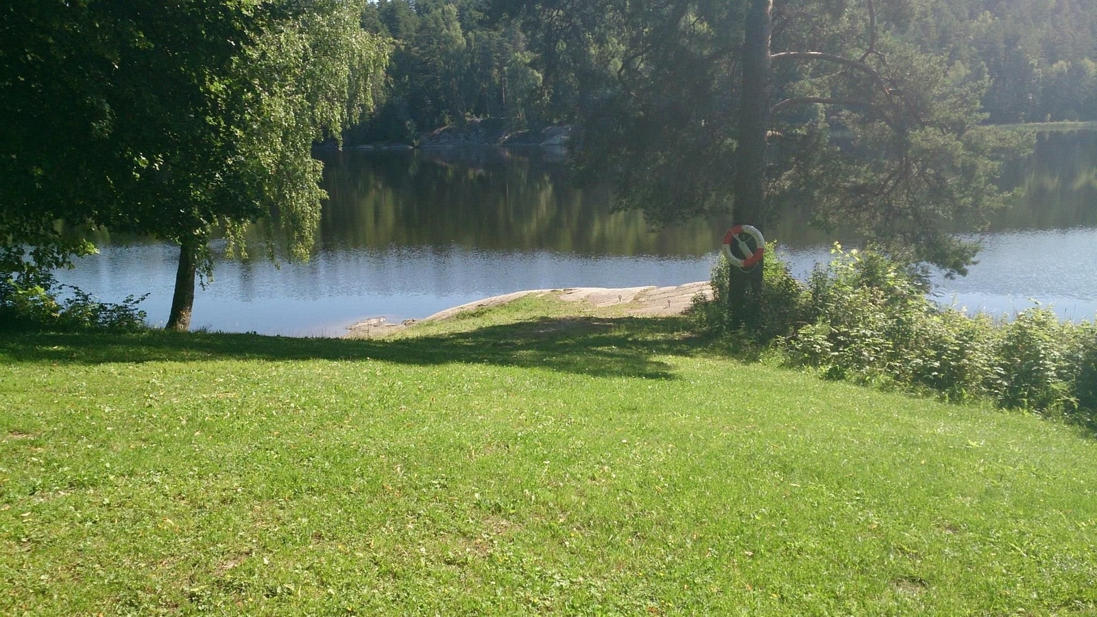 Nærområde, badeplassen Tussetjern Galleribilde