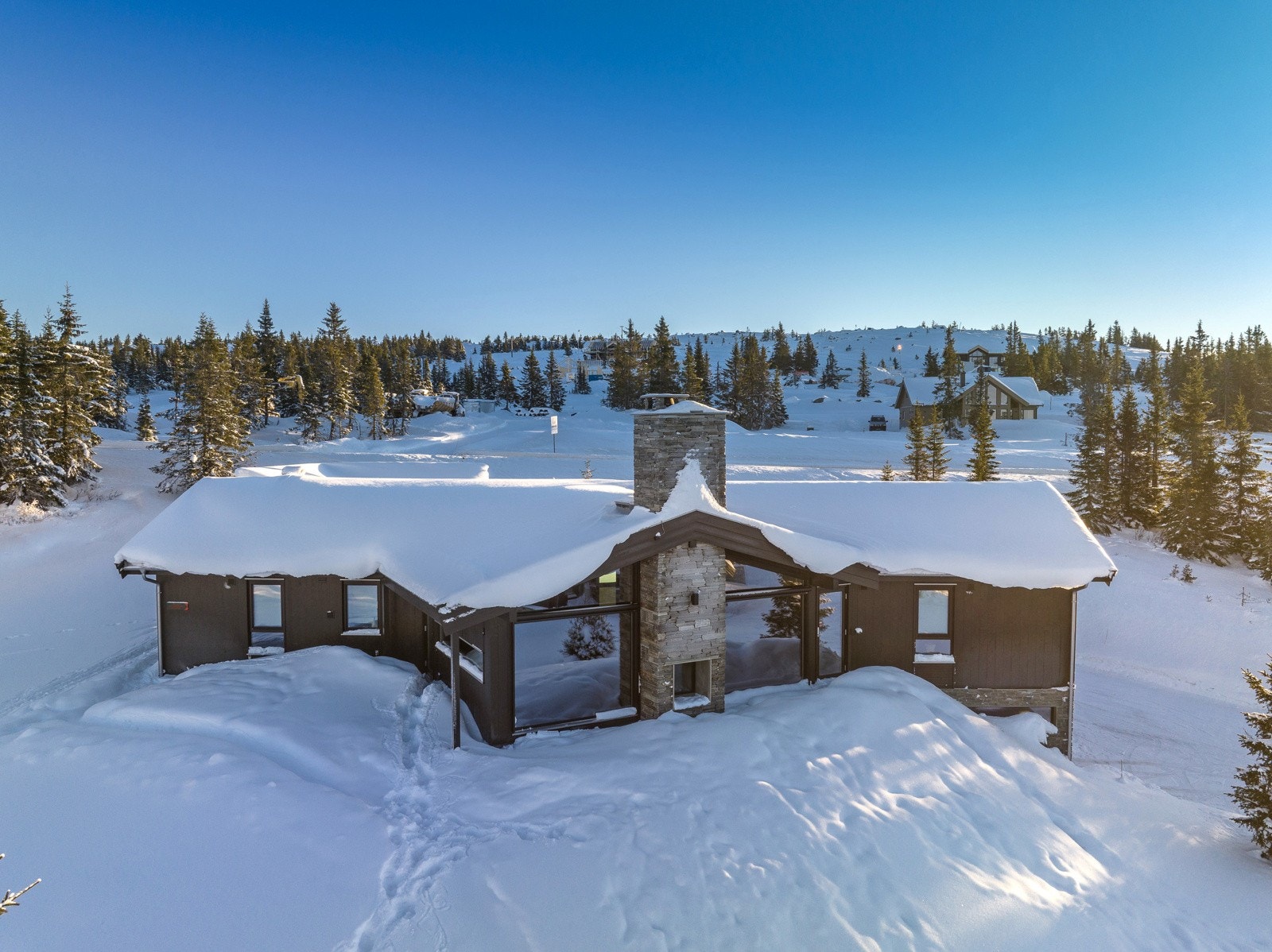 Fasade mot vest. Galleribilde