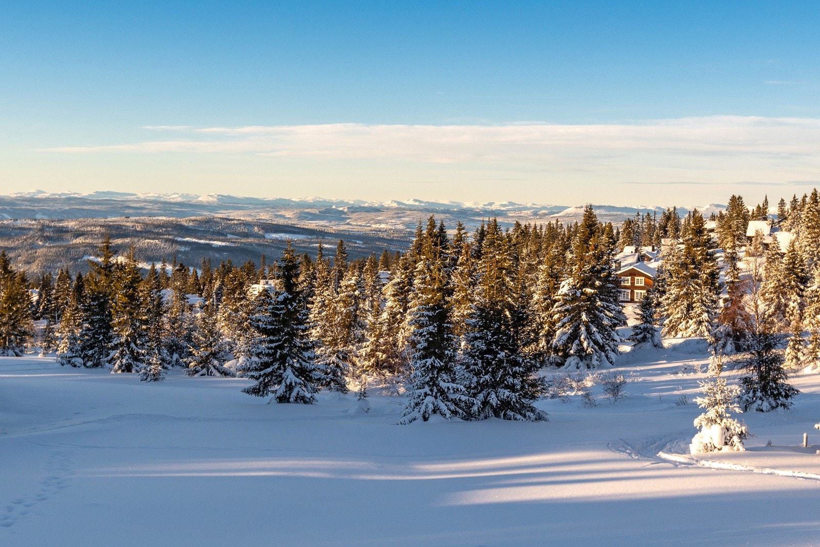 Utsikt mot vest og Jotunheimen. Galleribilde