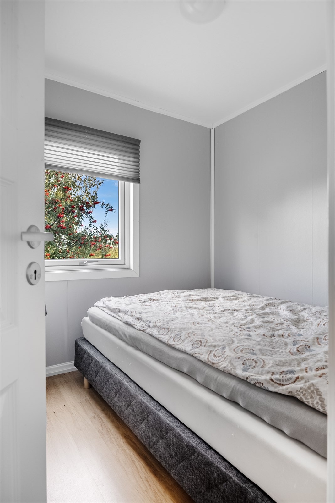 10859-9603.jpg Galleribilde