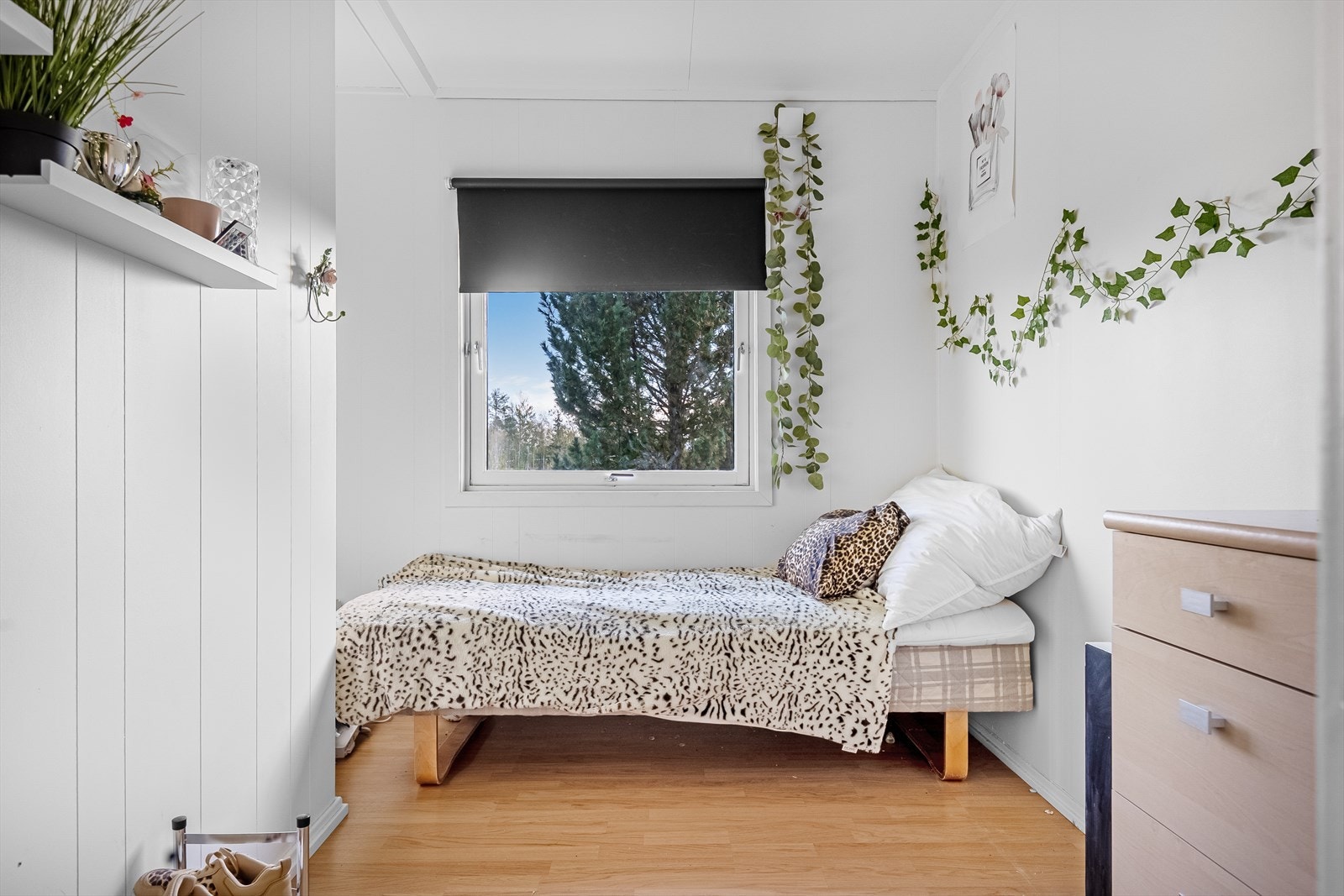 10859-9508.jpg Galleribilde