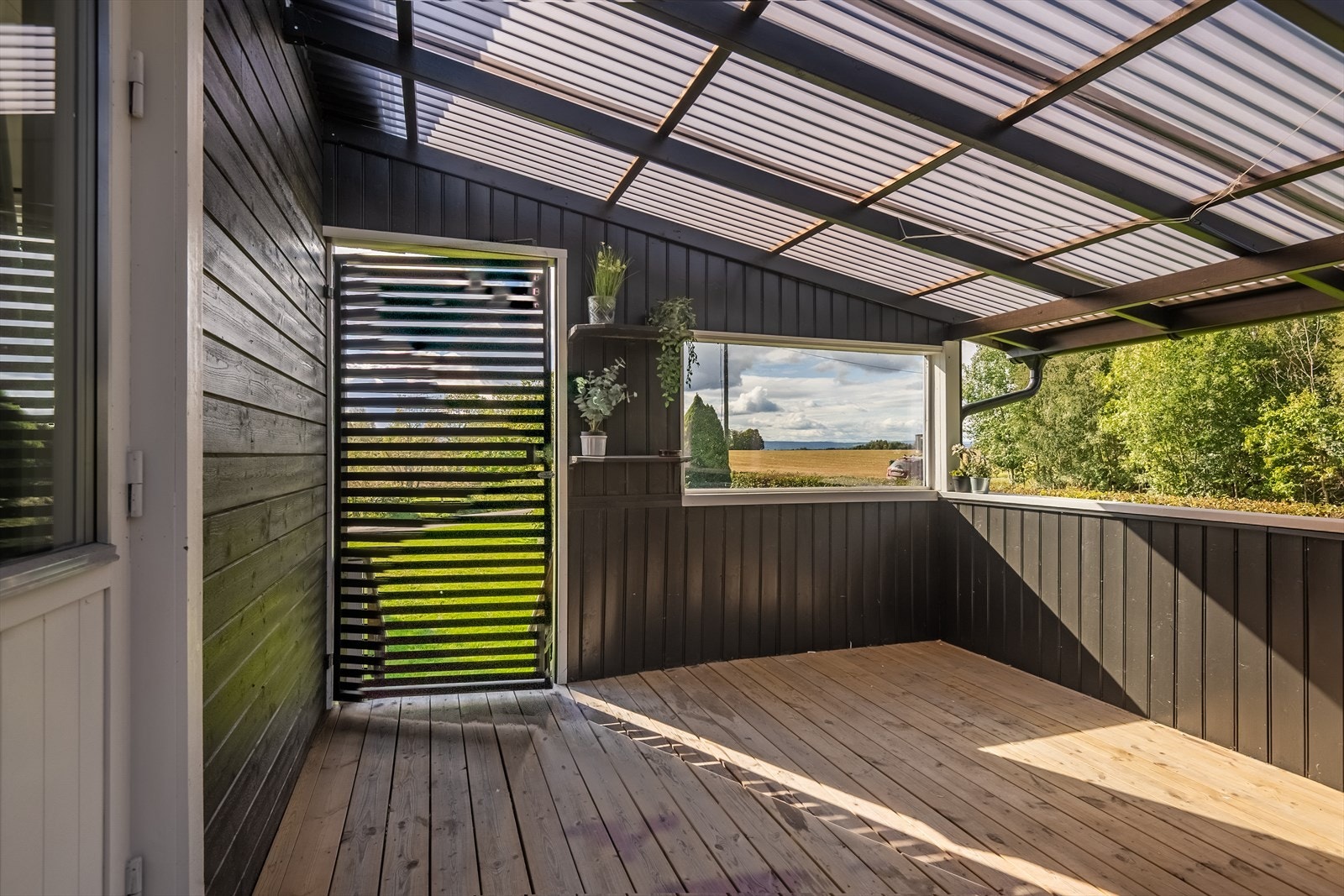 10859-9658.jpg Galleribilde