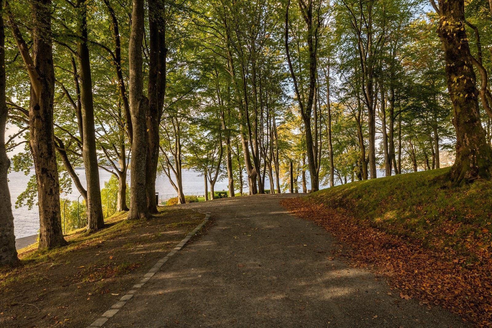 Noen minutters gange fra leiligheten finner du både Nordnesparken og Verftet. Galleribilde