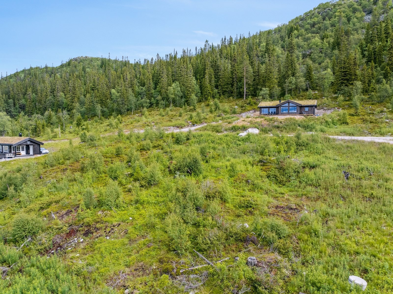 Flott selveiertomt med gode solforhold Galleribilde