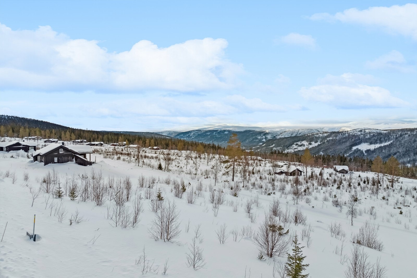 Bilde fra vinterstid Galleribilde