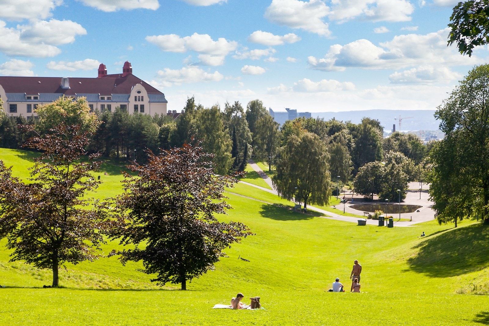 Flere parker i nærmiljøet med flotte tur- og rekreasjonsmuligheter som Birkelunden, Sofenbergparken, Torshovparken og Torshovdalen. Galleribilde