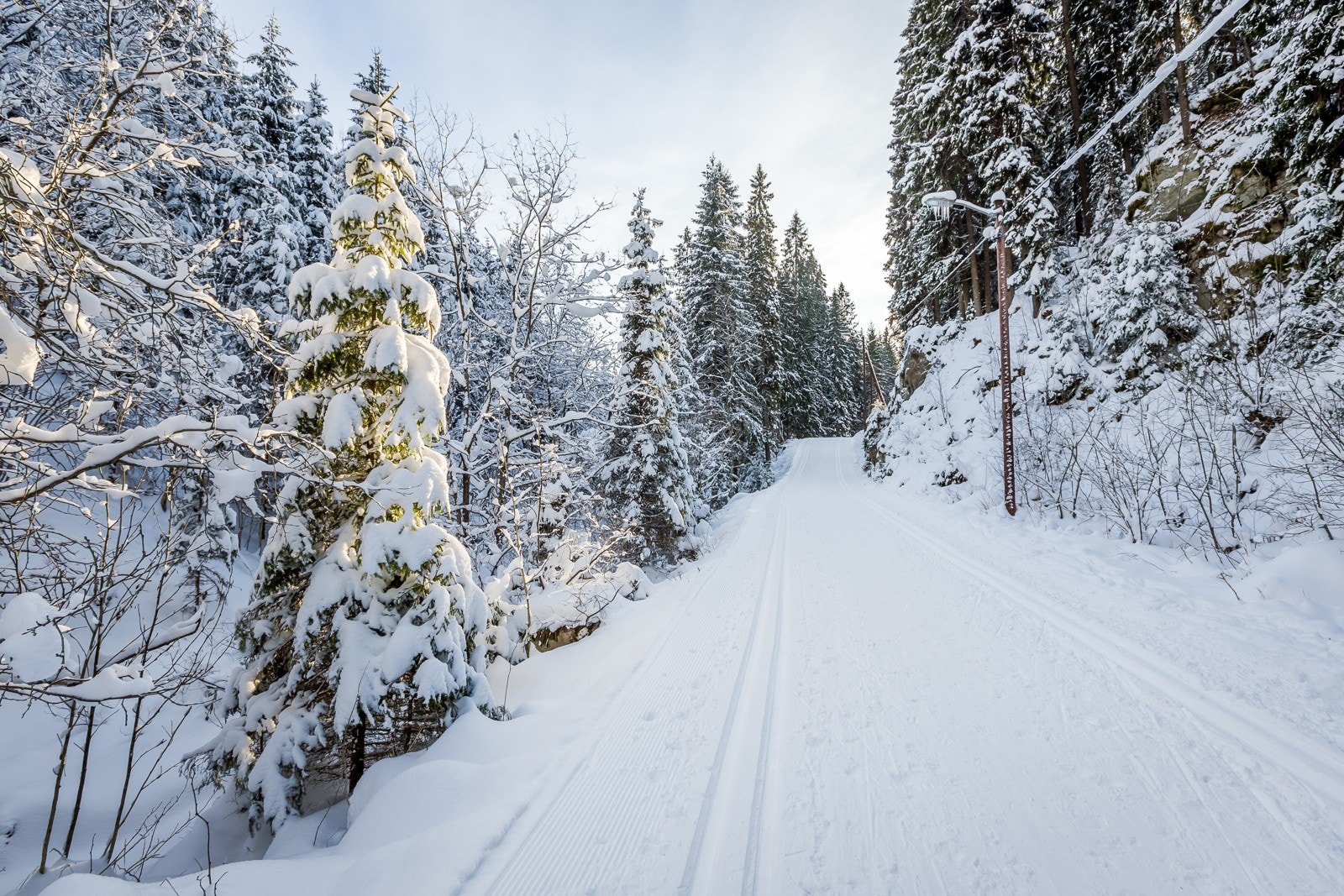 Kort vei til Nypreparerte løyper Galleribilde