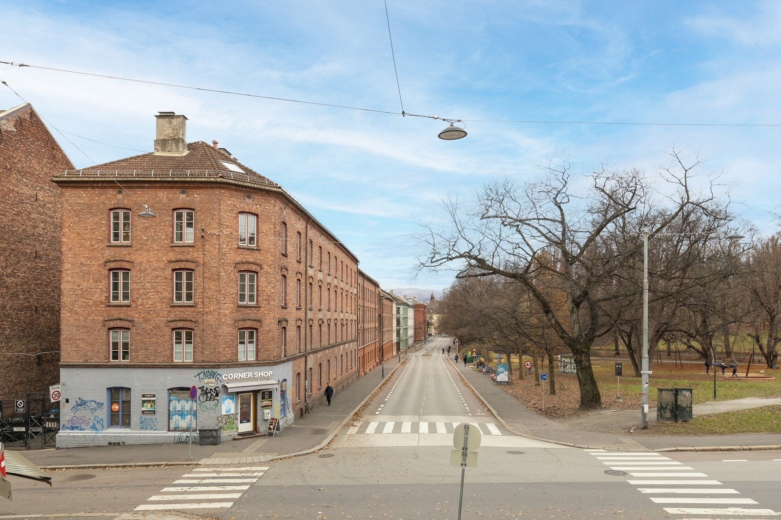 Botanisk hage rett over gaten. Galleribilde