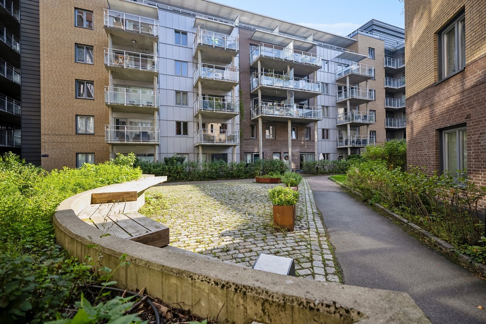 Felles bakgård med beplantning og asfalterte internveier. Galleribilde