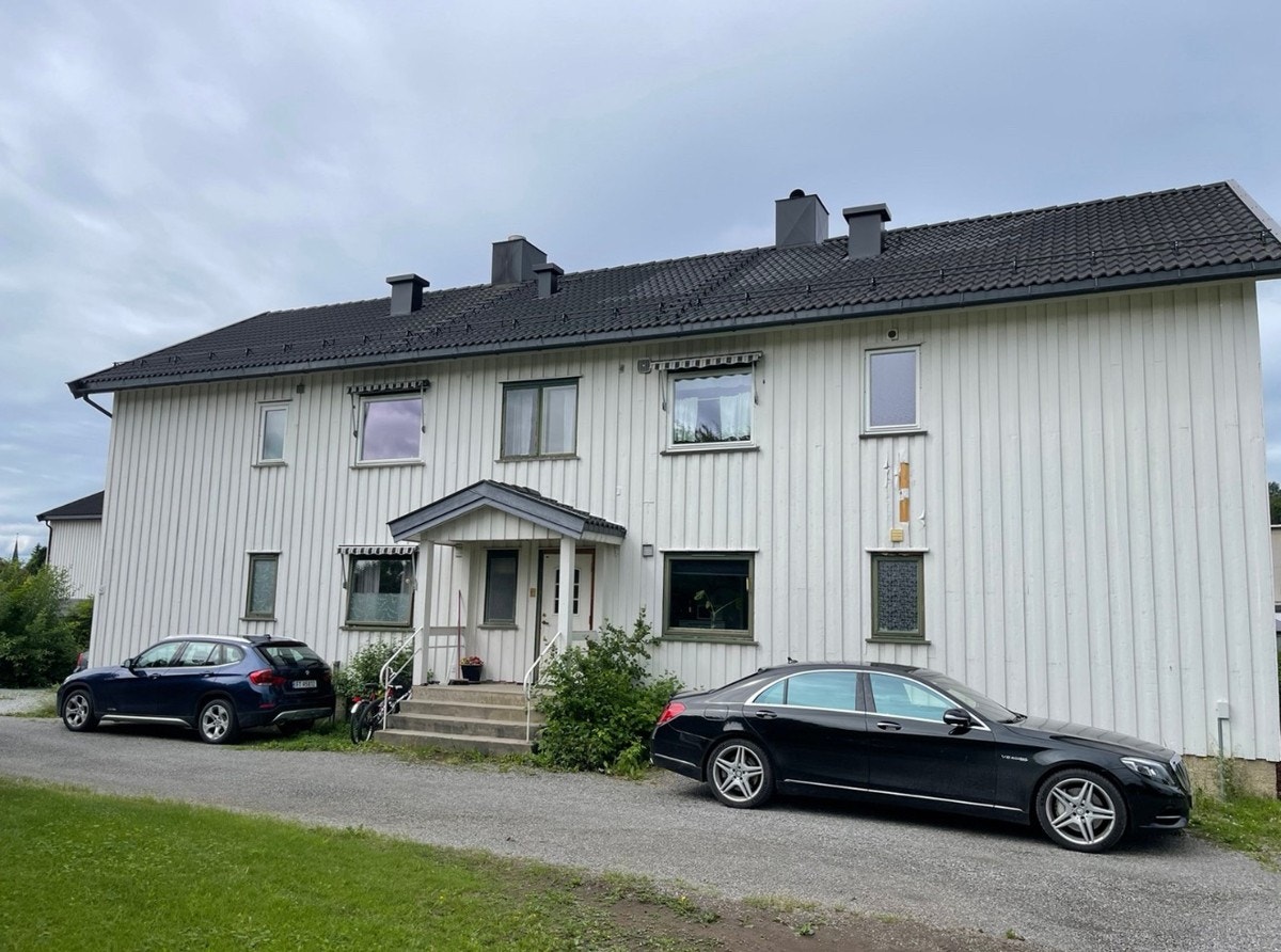 Selgers sommerbilde Galleribilde