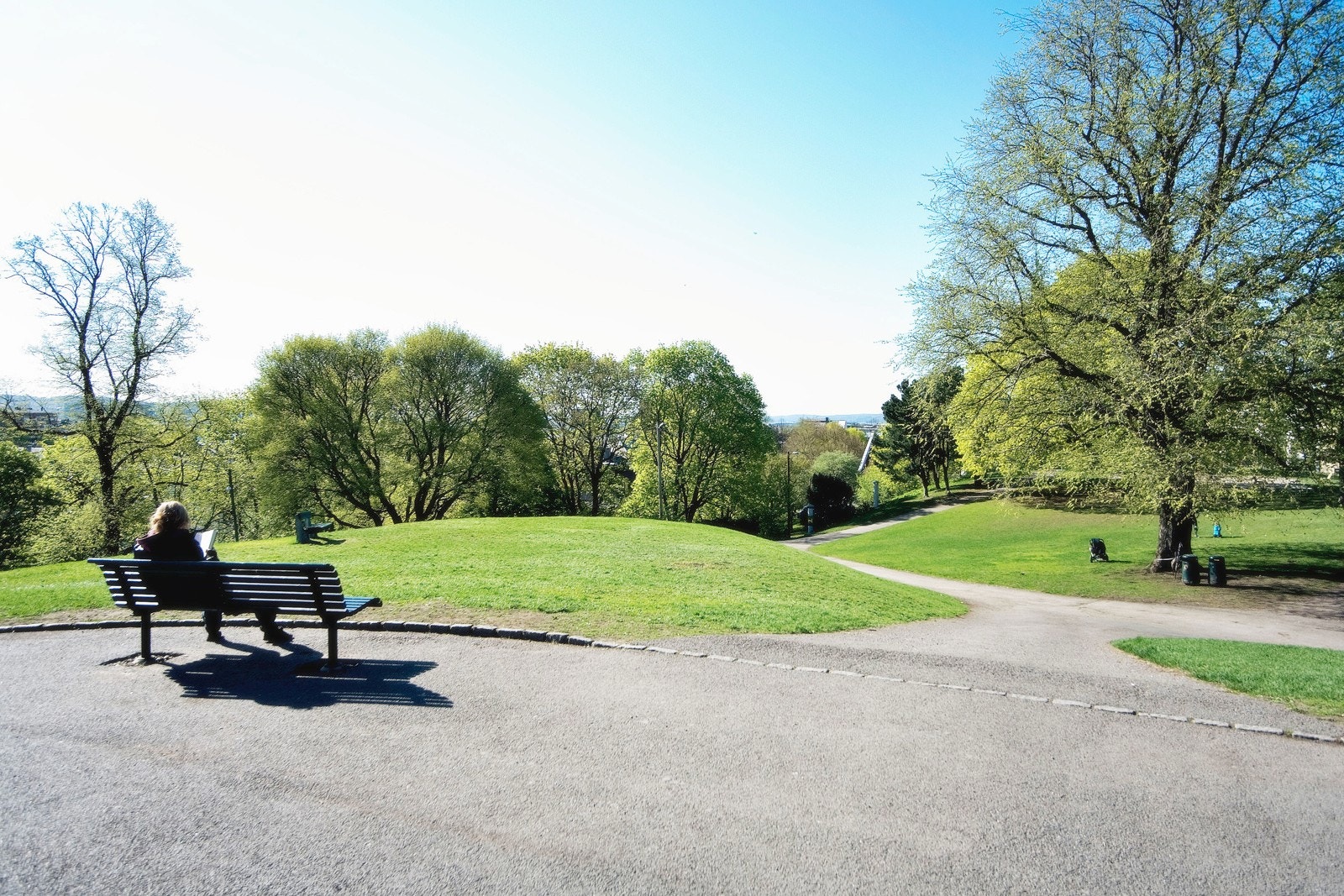 Stensparken Galleribilde