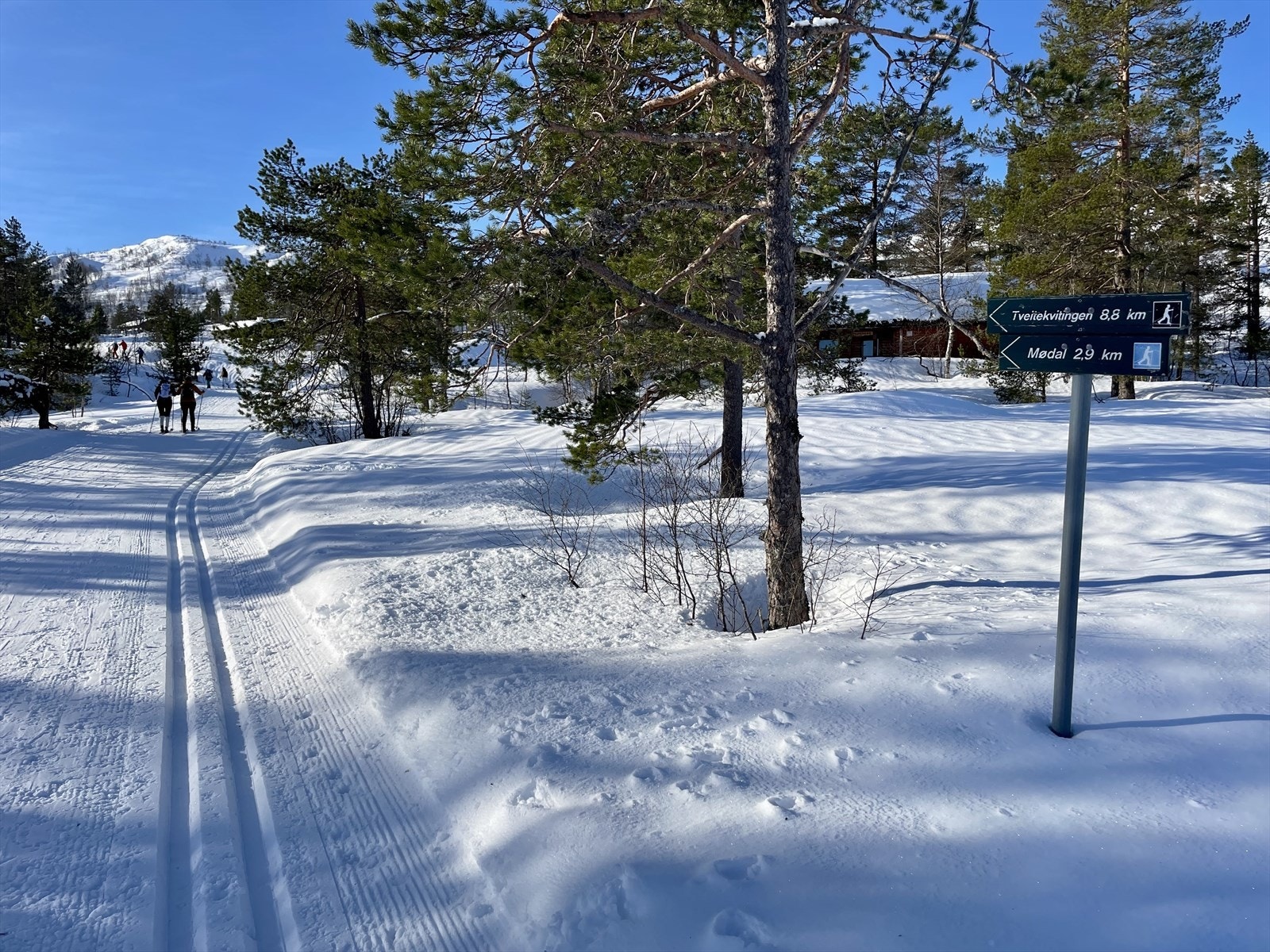 Preparerte skiløyper ligger rett ved hytten Galleribilde