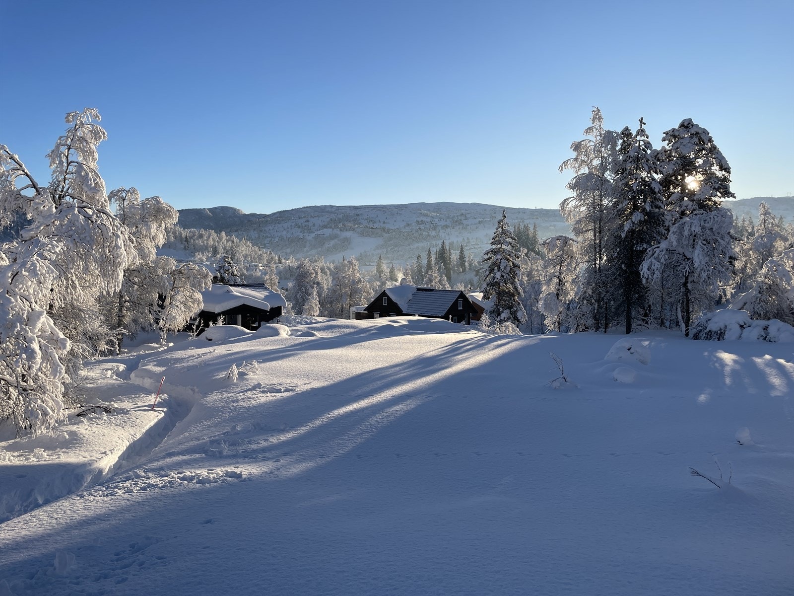 Et nydelig vinterskue! Galleribilde