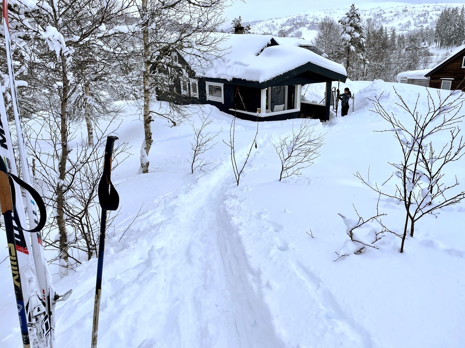 Om vinteren er Kvamskogen et relativt snøsikkert område Galleribilde