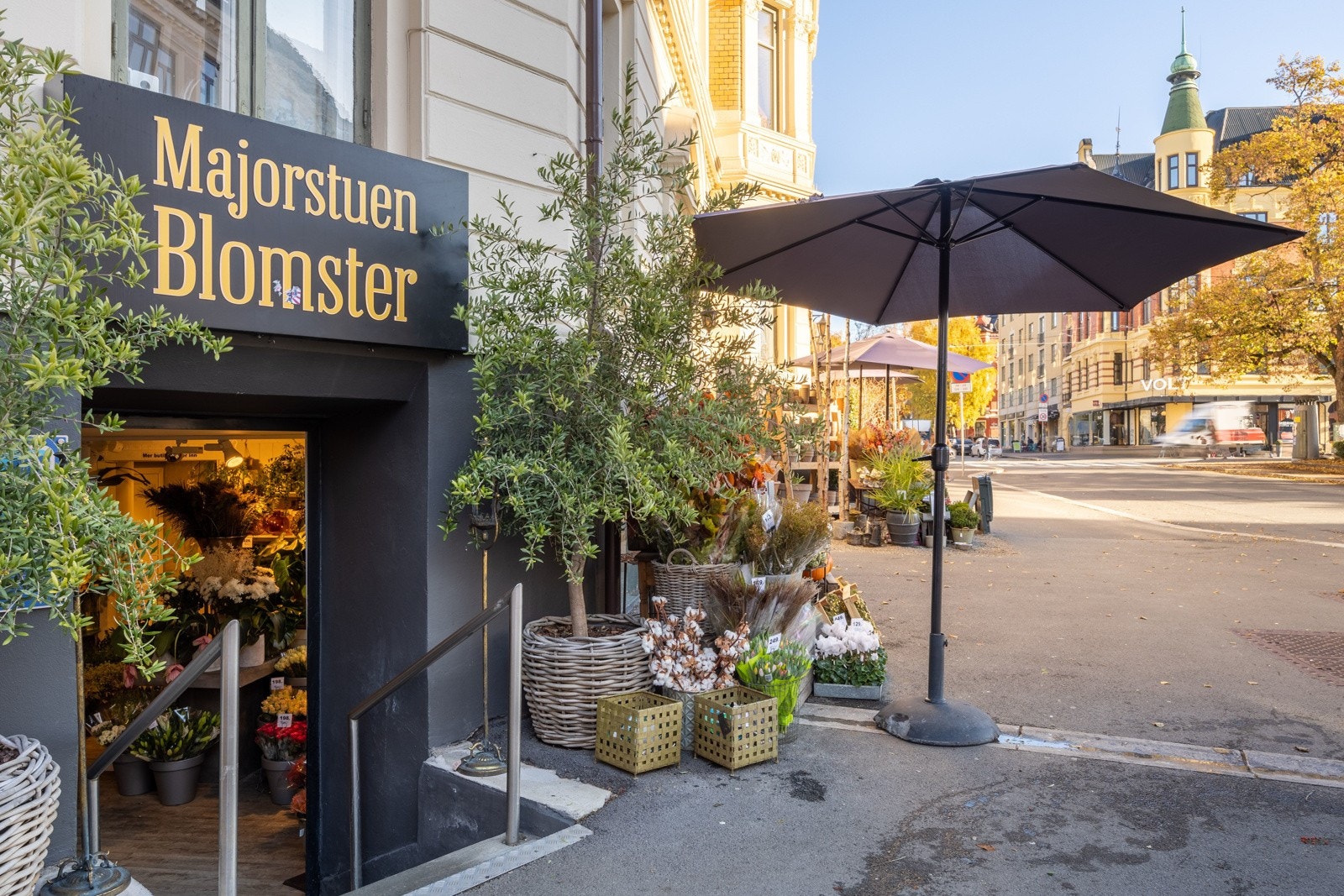 Bogstadveien ligger i et svært attraktivt og sentralt område på Majorstuen, hvor alle typer servicetilbud er lett tilgjengelige. Galleribilde