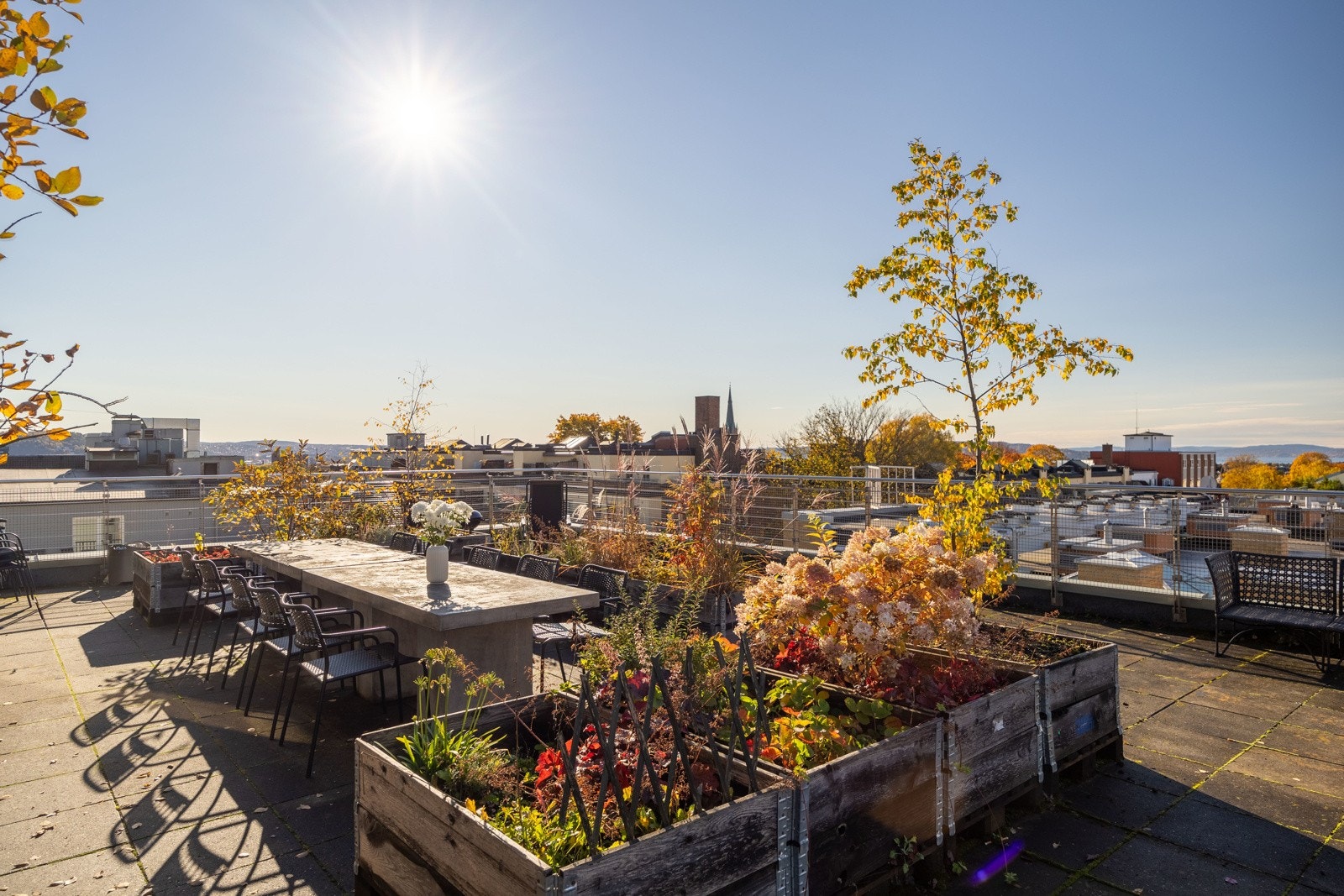 Velkommen til en moderne og lys 2-roms Galleribilde