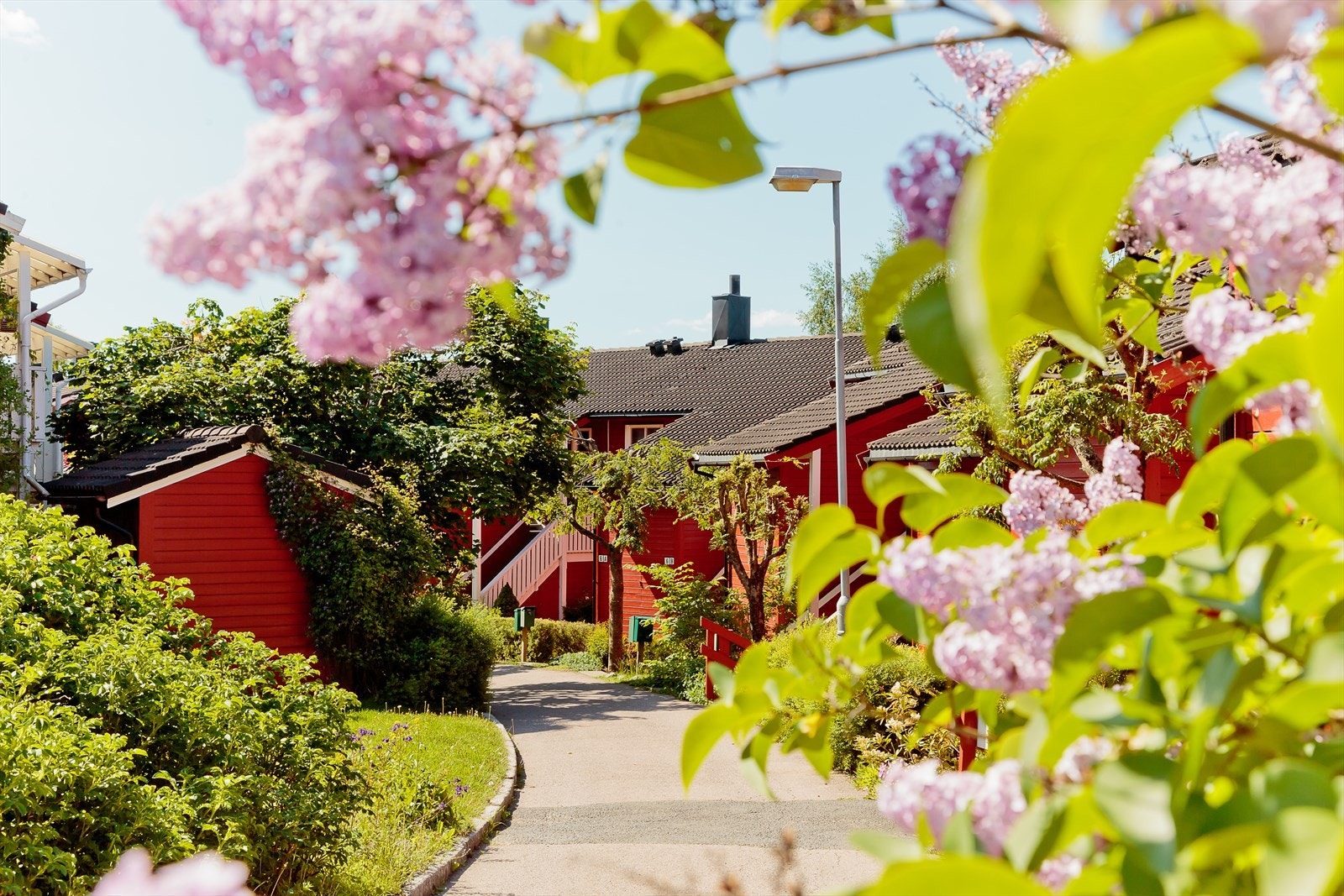 Borettslagets internveier er godt skjermet for trafikk og skaper et meget hyggelig nærmiljø Galleribilde