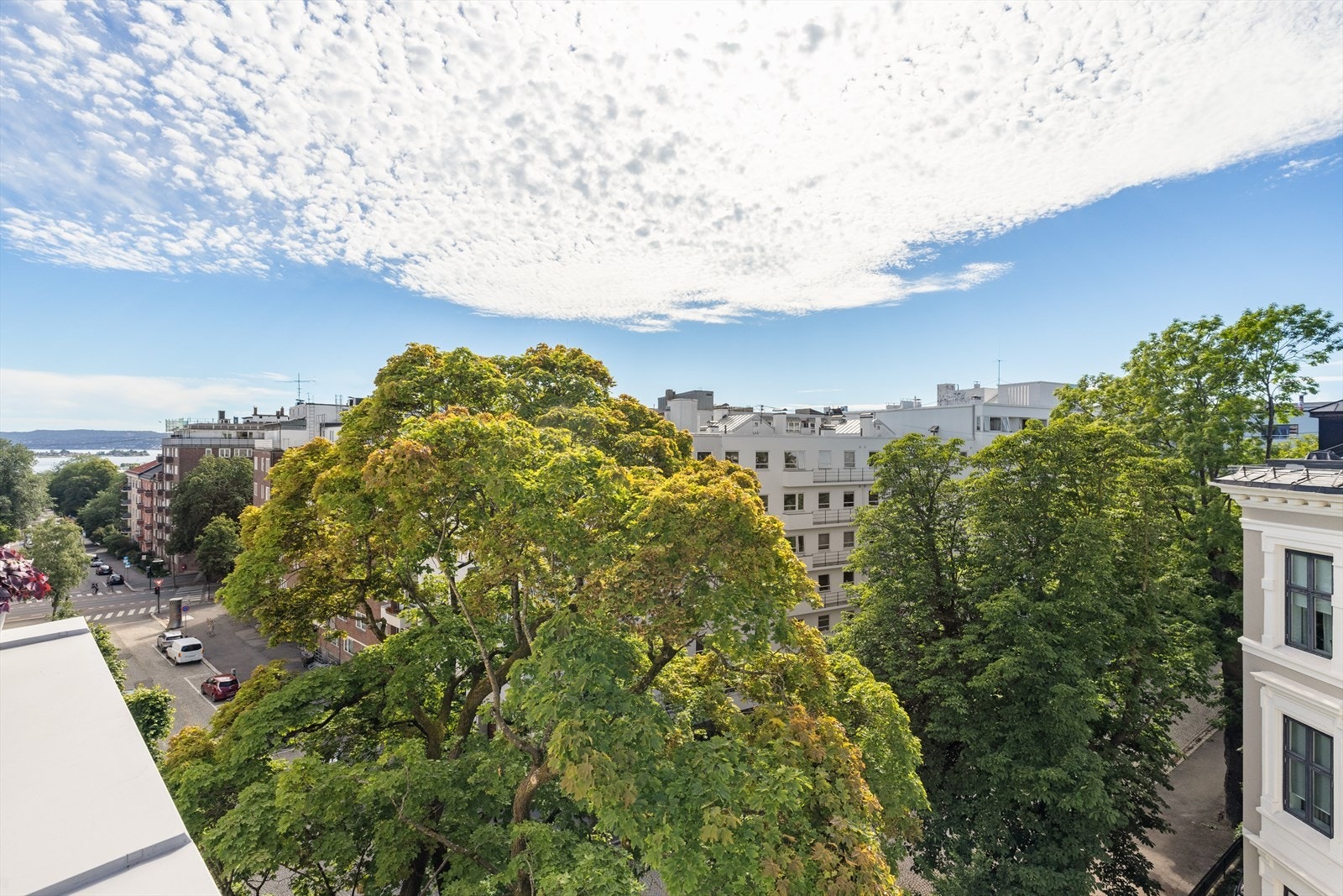 Frodig og grønt utsyn Galleribilde