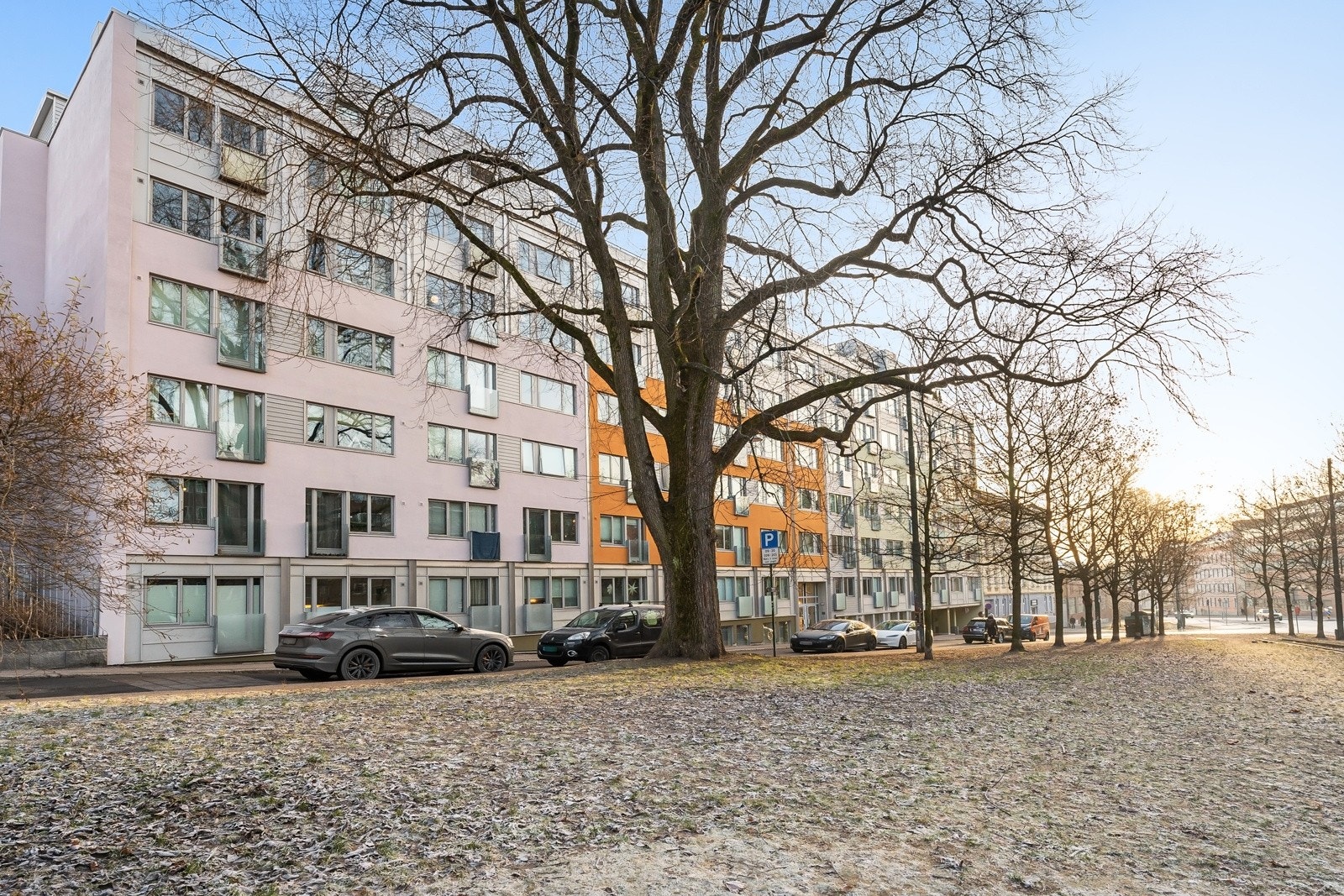 Fasade. Galleribilde