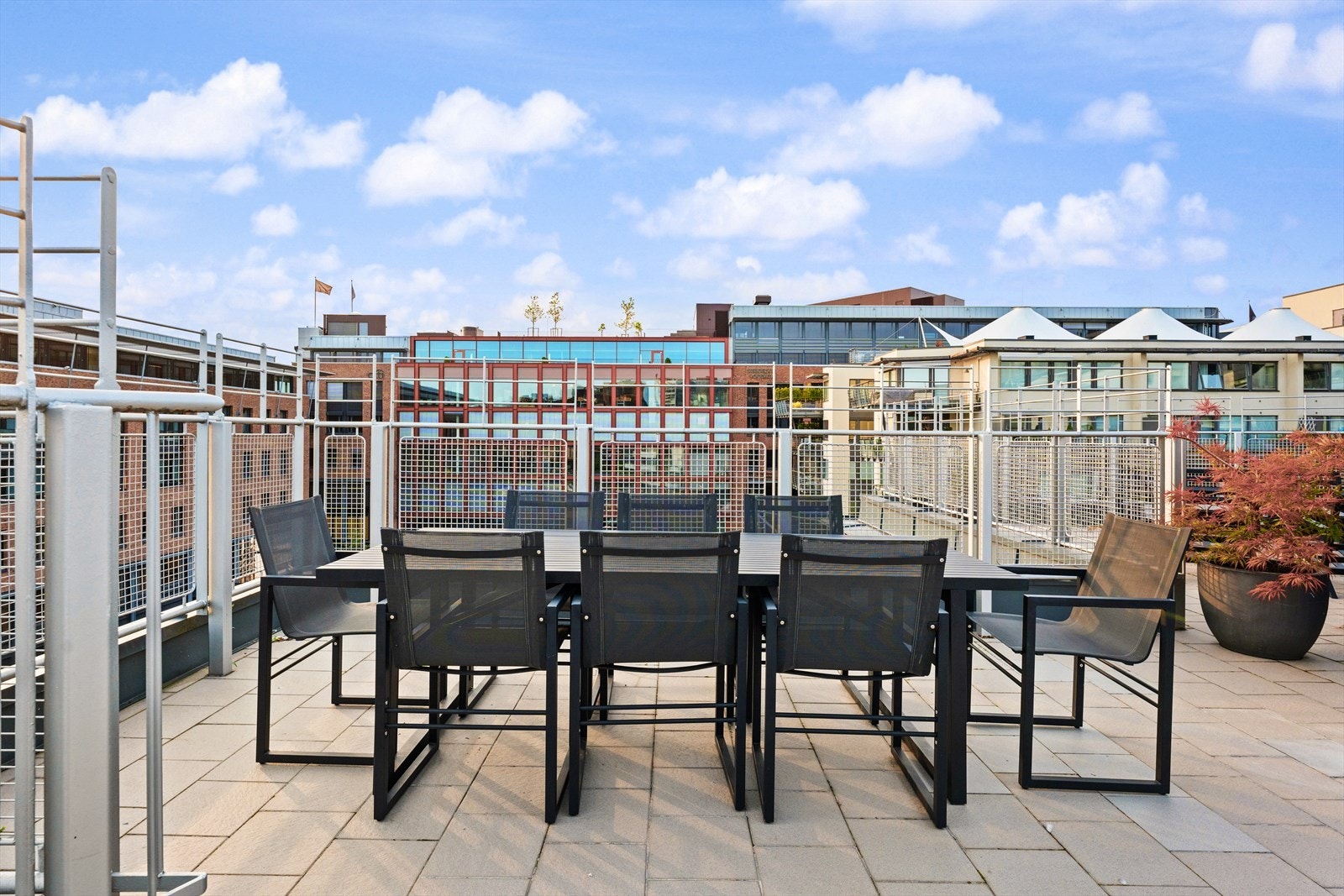 Her kan du også invitere gode venner til et bedre måltid - Takterressen er utstyrt med felles Weber-grill Galleribilde