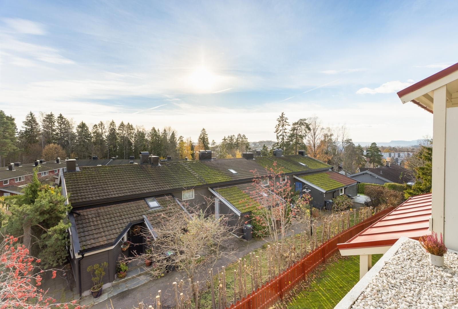 Flott utsikt fra terrassen Galleribilde