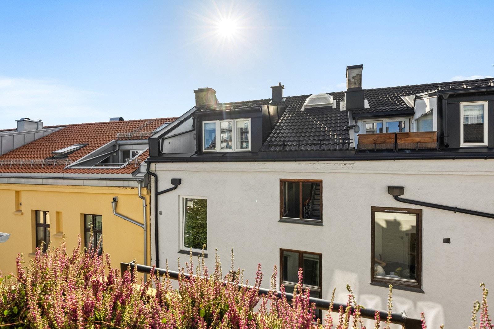 Utsikt fra takterrassen Galleribilde