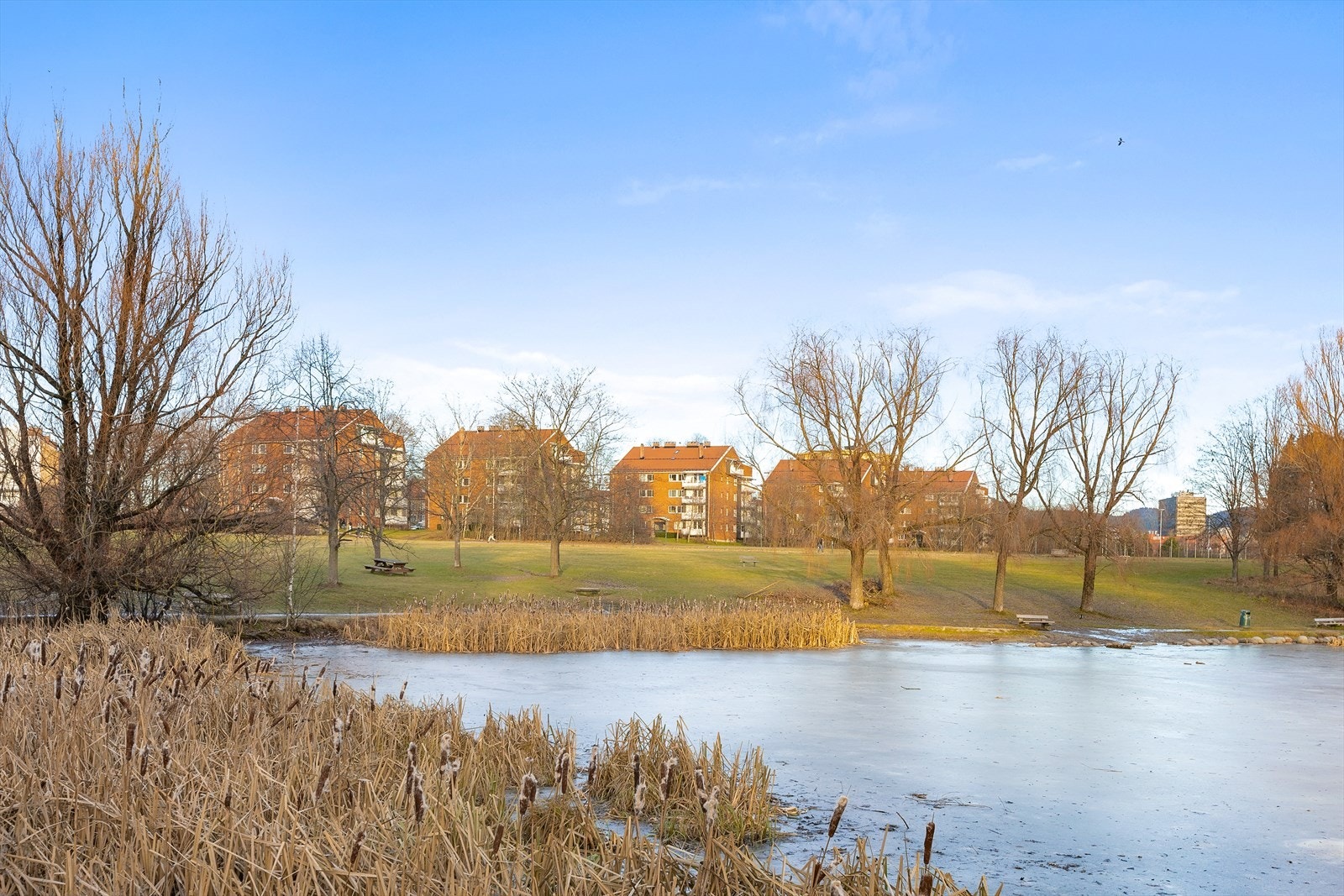 Hovindammen ligger like i nærheten. En idyllisk plass med gangstier, sittebenker og grønne lunger Galleribilde
