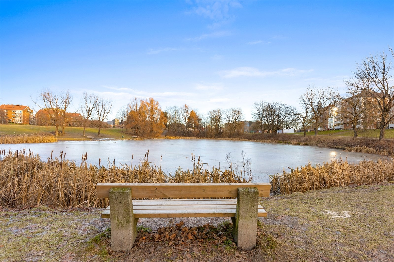 Området kan by på flere parker og grøntområder med flotte tur- og treningsmuligheter Galleribilde