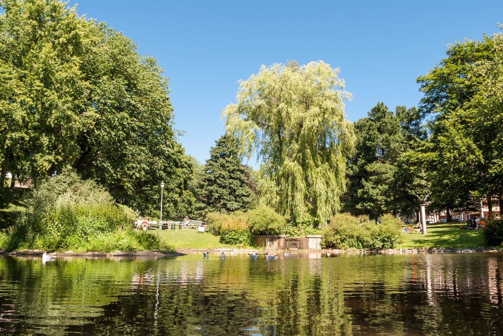 St. Hanshaugen ligger i umiddelbar avstand fra leiligheten Galleribilde