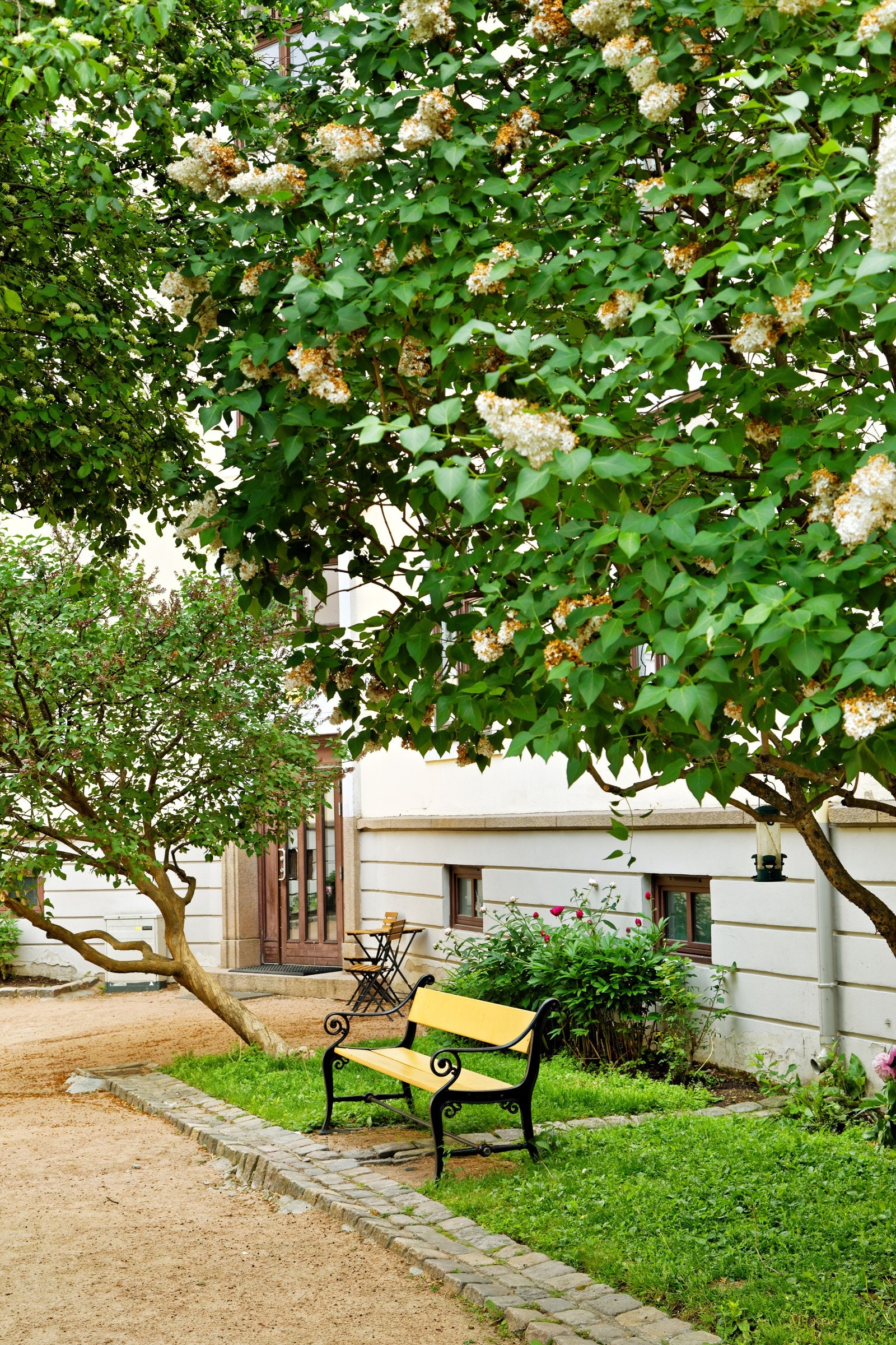 Det er flere hyggelige sittegrupper rundt om i bakhagen Galleribilde