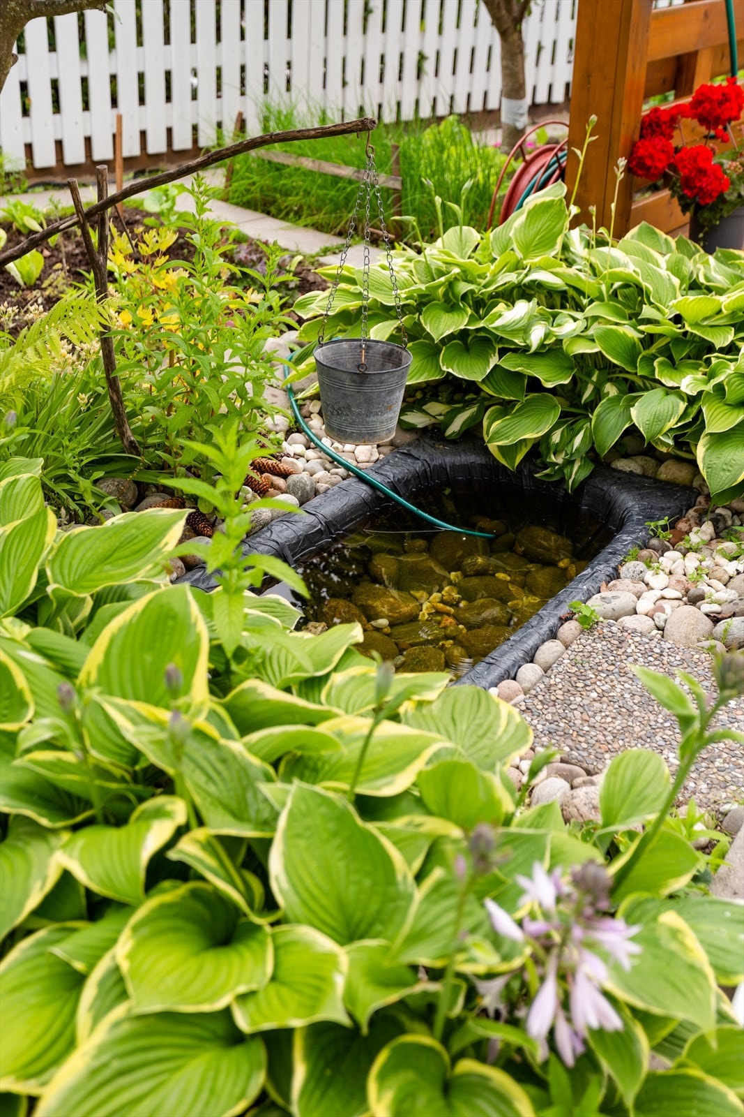 Detalj grønnsakshage Galleribilde