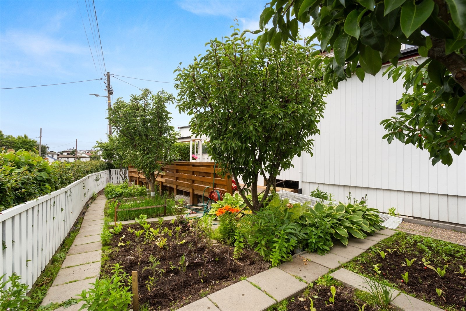 Her kan du dyrke alt fra gulrøtter, jordbær, gressløk m.m. Galleribilde