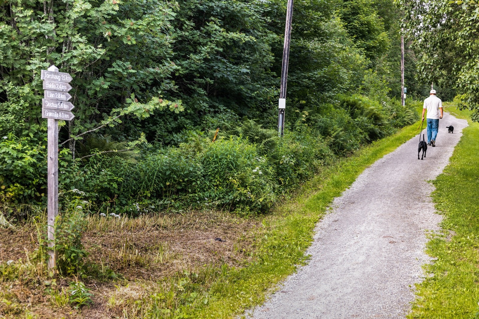 Flotte turmuligheter i nærområdet. Galleribilde