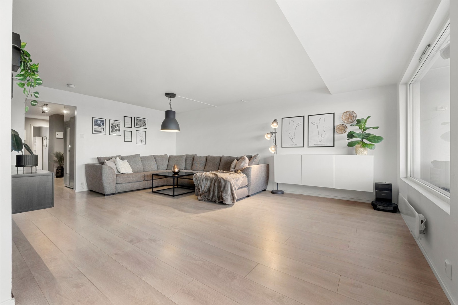 De store vindusflatene slipper inn rikelig med dagslys. Galleribilde