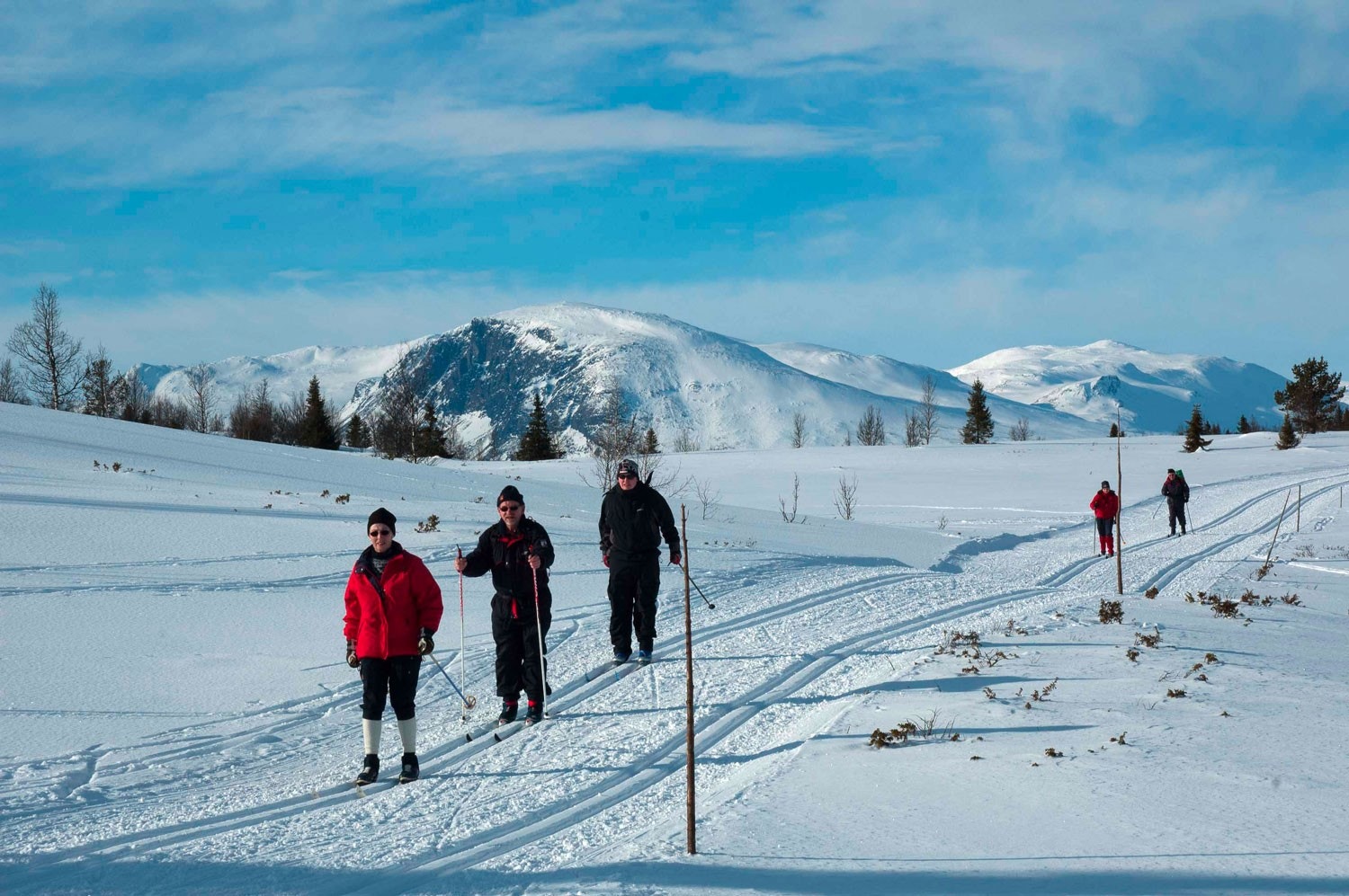 Skiløypene starter like utenfor døren. Galleribilde