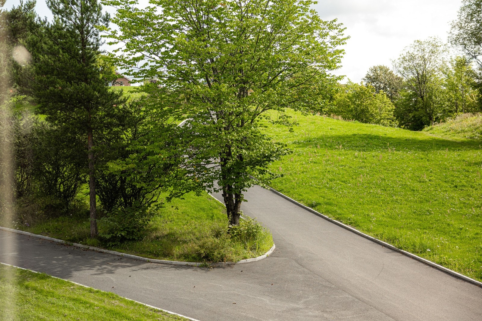 Utsyn fra kjøkkenvindu på sommerstid, mot frodige Hasleparken. Galleribilde
