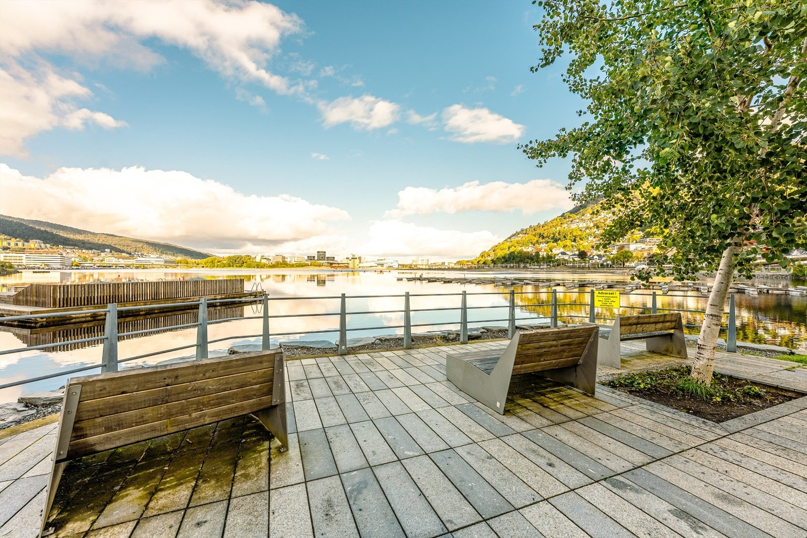 Ved Store Lungegårdsvannet kan man nyte sommeren. Galleribilde