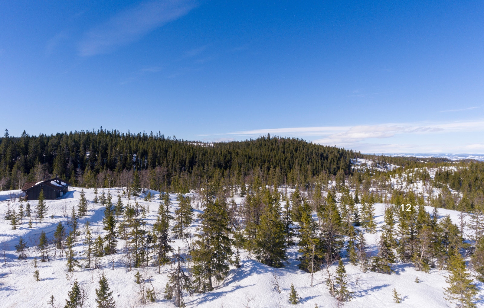 Toten Almenning Lodd 5 eier og driver over 42.000 dekar skog og utmark i Østre Toten og Eidsvoll Galleribilde