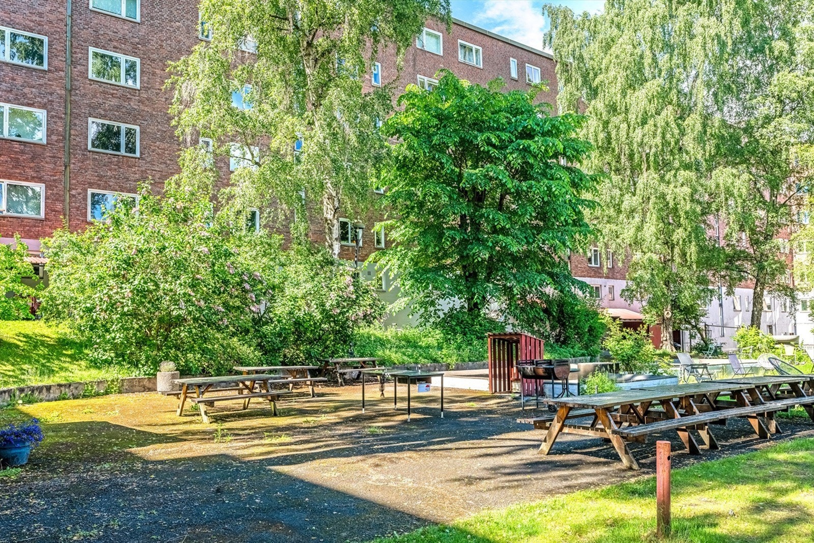 Frodig og skjermet bakgård som kan benyttes av beboere etter ønske. Galleribilde