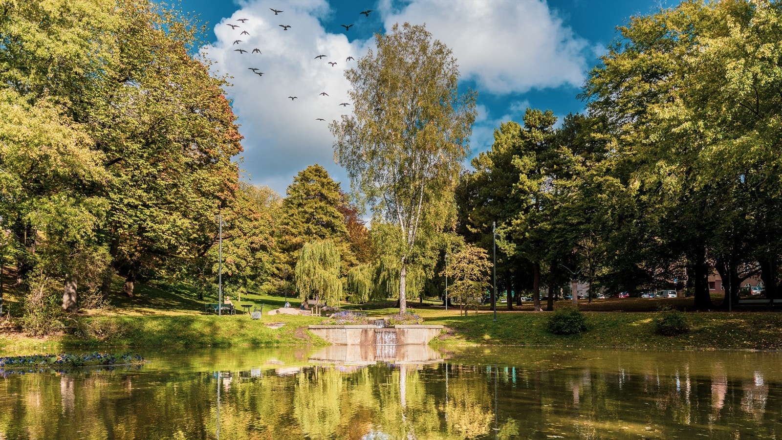 St. Hanshaugen har blitt en av de mest attraktive og populære bydelene i Oslo, og med god grunn! Galleribilde