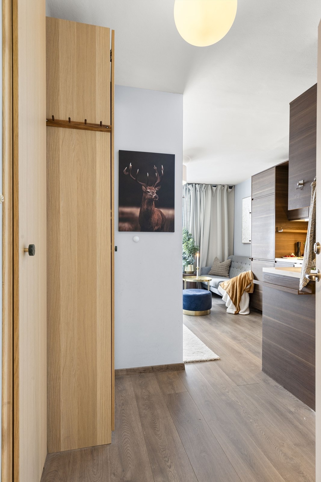 Plassbygde skap i entrè Galleribilde