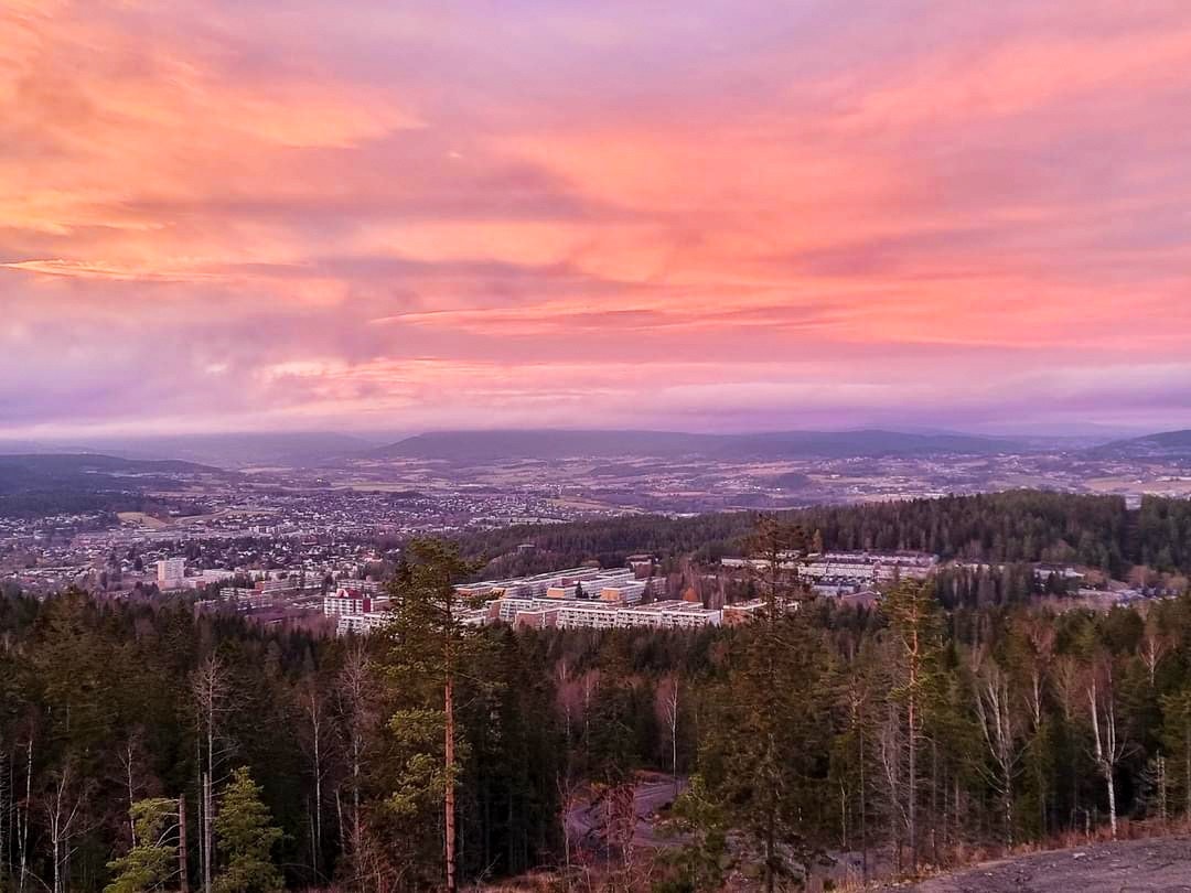 Bjønnåsen er en flott topptur i nærområdet med fantastisk utsikt. Galleribilde