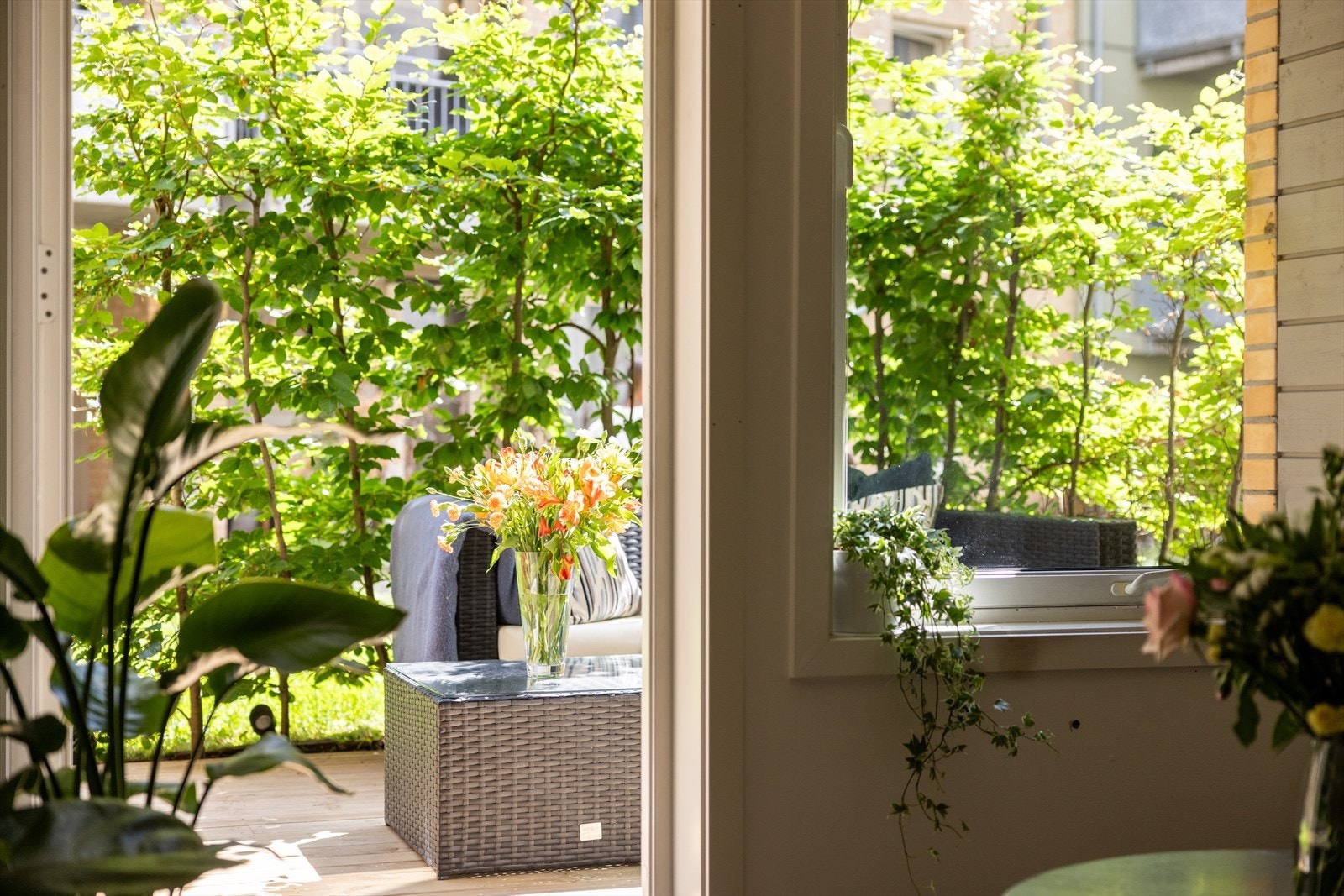 - Utgang til markterrasse fra stuen - Galleribilde