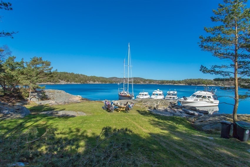 Friområdet like i nærheten. Galleribilde