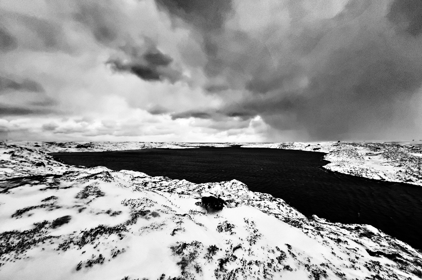 Selgers bilder 4 Galleribilde