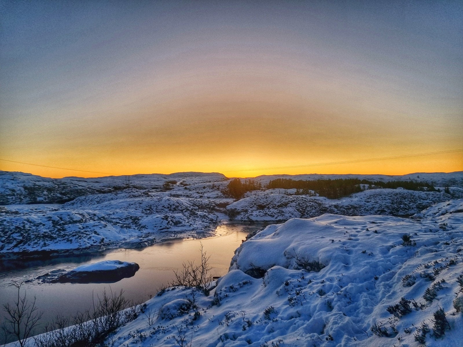 Selgers bilder 2 Galleribilde