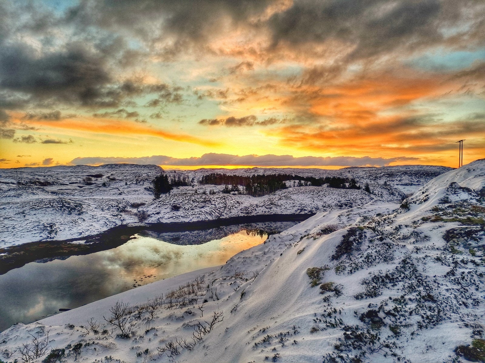 Selgers bilder 1 Galleribilde