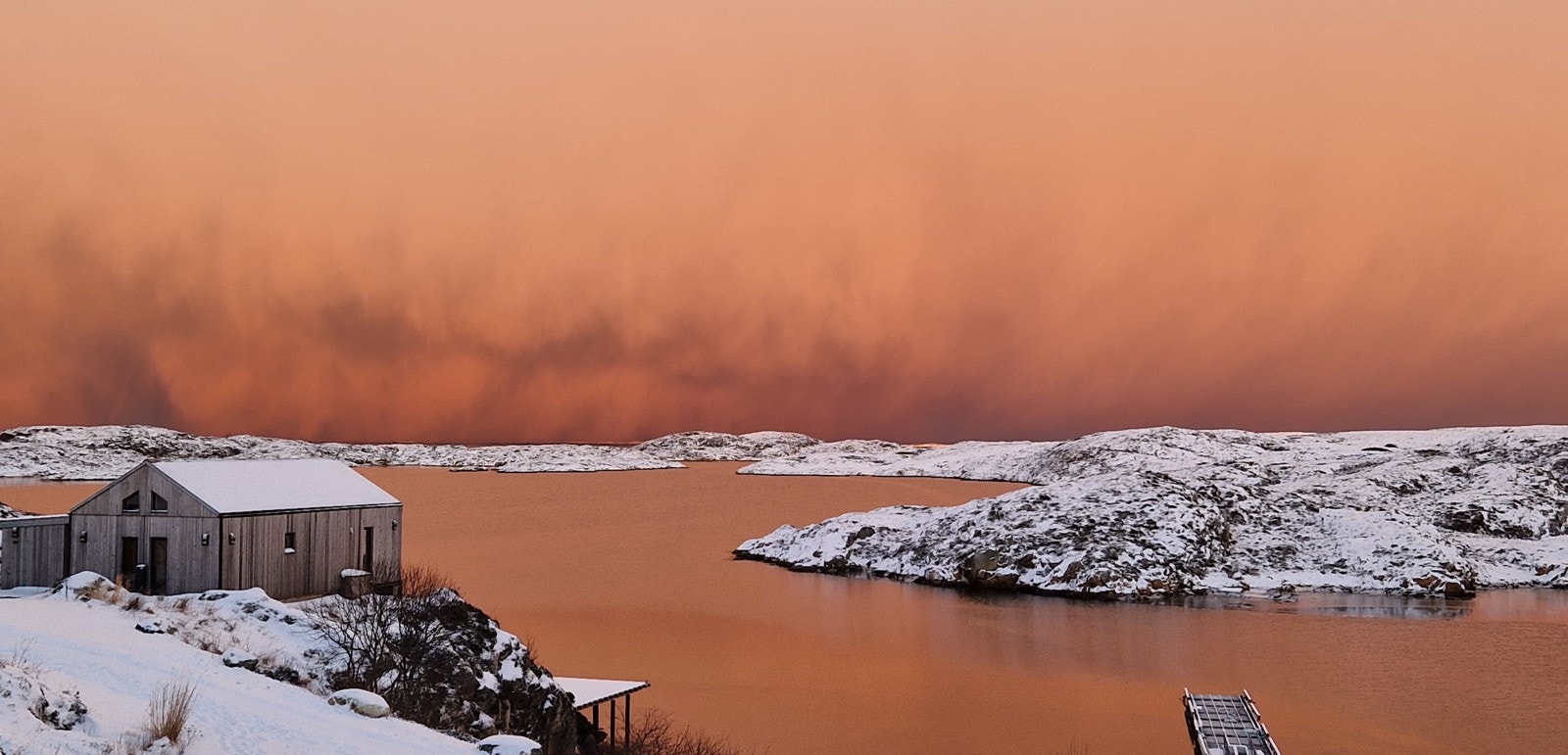 Selgers bilder Galleribilde